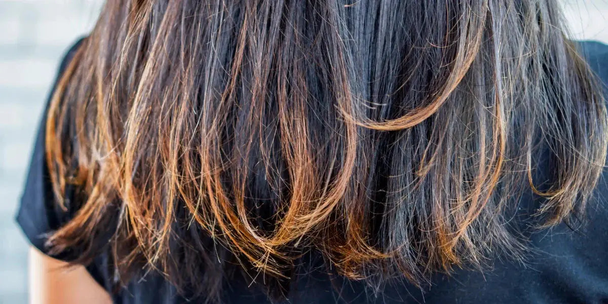 Cheveux Secs et Abîmés - volumely