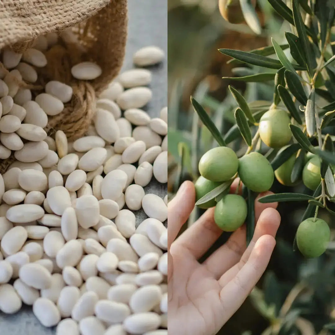 Après-Shampoing Ultra-Nourrissant & Réparateur - Ingrédients BIOFFICINA TOSCANA volumely